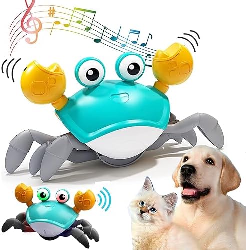 PlayScuttle – Interactive toy with movement, lights and sound