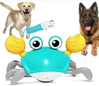 PlayScuttle – Interactive toy with movement, lights and sound